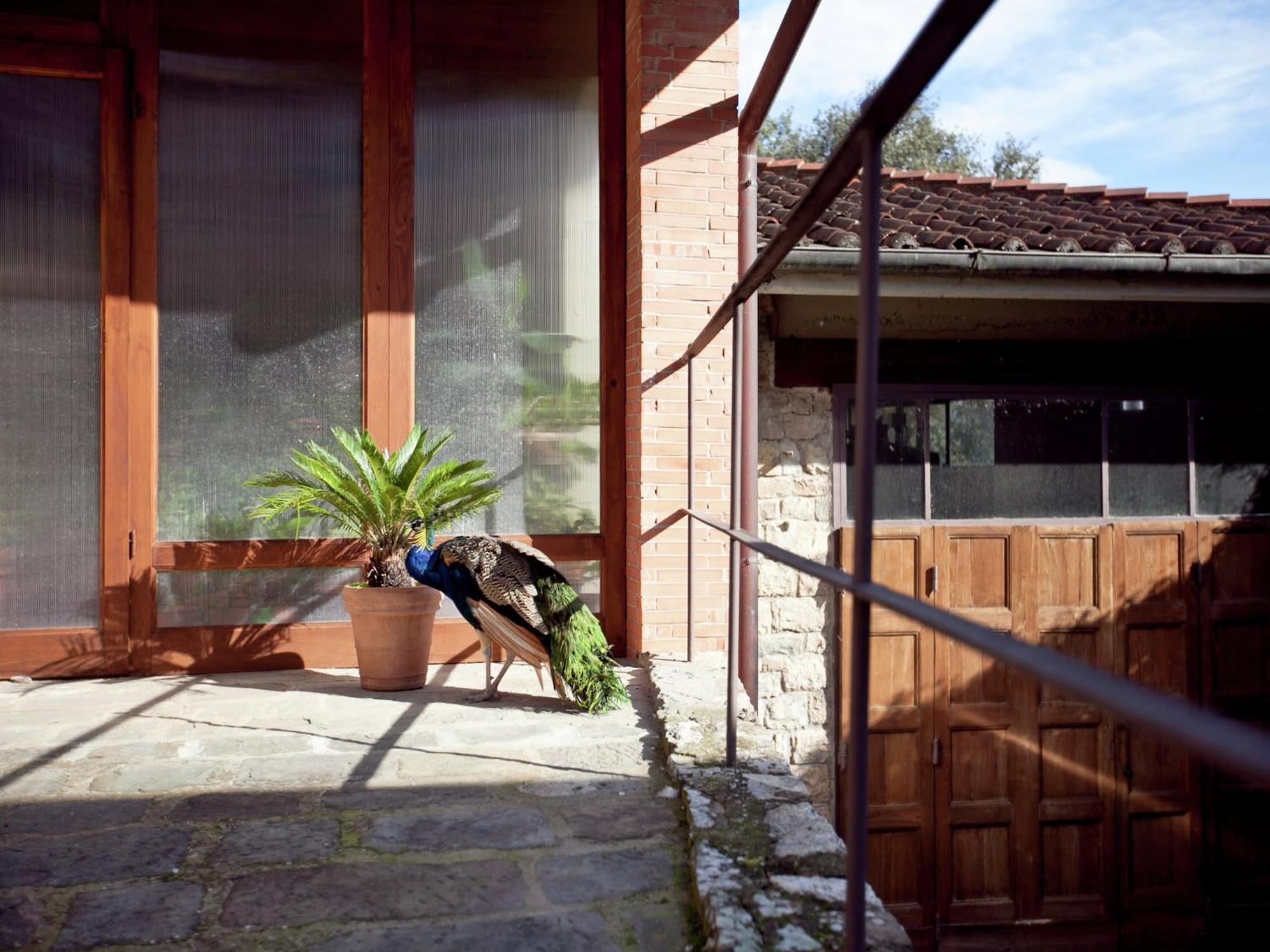 Pleasant Apartment With Swimming Pool Garden Bbq Parking Lucolena in Chianti Exterior photo